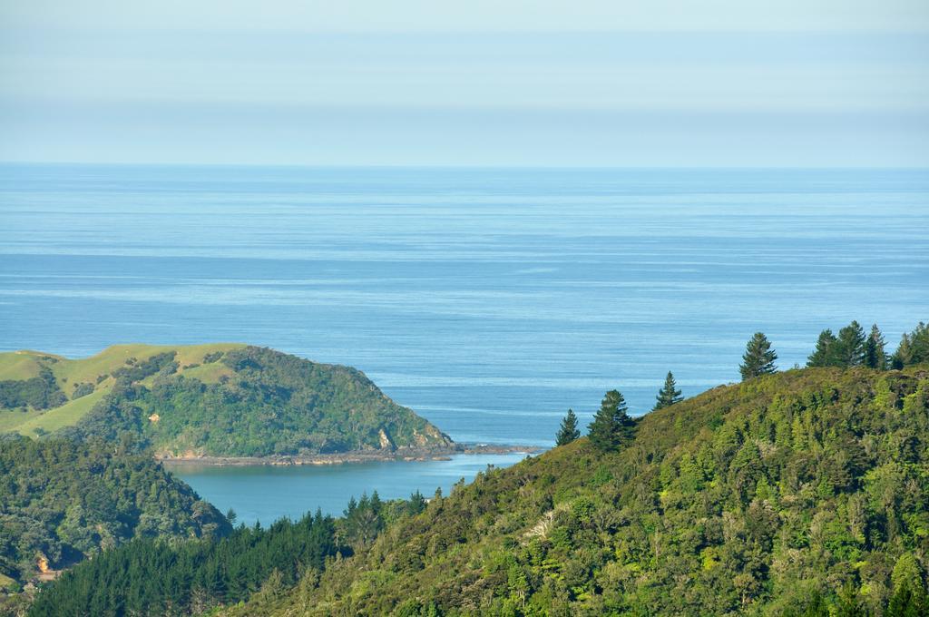 Hopewell B&B Helena Bay ภายนอก รูปภาพ