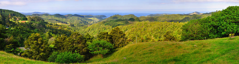 Hopewell B&B Helena Bay ภายนอก รูปภาพ