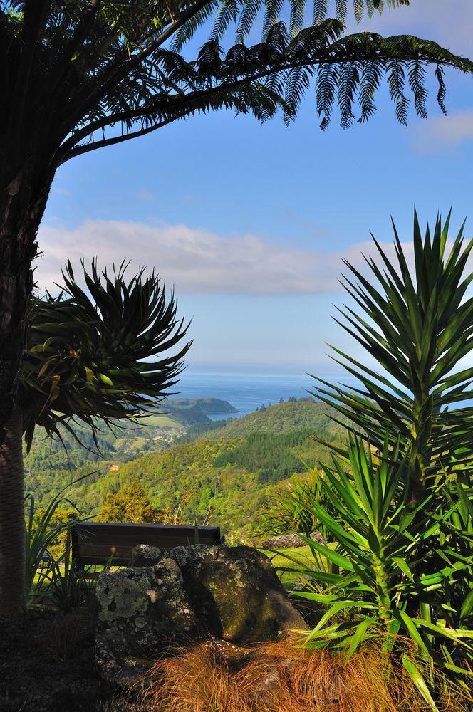 Hopewell B&B Helena Bay ภายนอก รูปภาพ